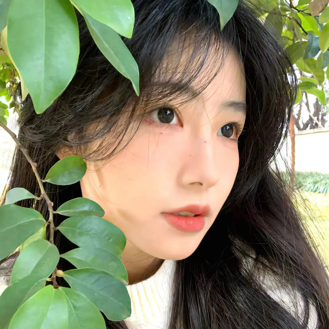 烟火向星辰